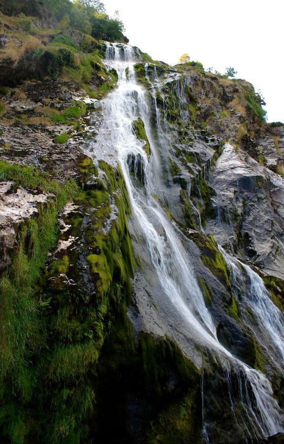 The Nook County Dublin旅馆 外观 照片